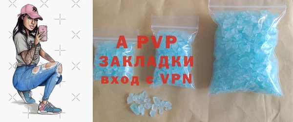 сатива Абаза