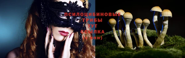 сатива Абаза