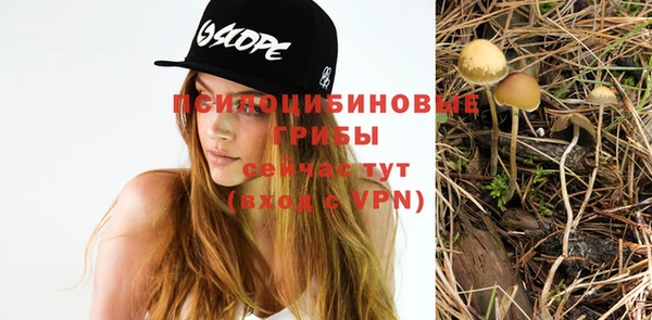 амф Абдулино