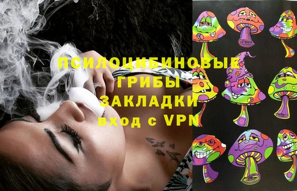 сатива Абаза